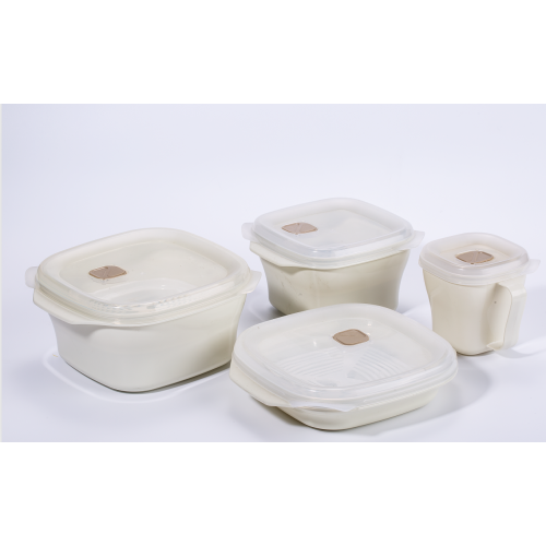 Plastikmahlzeit-Container-Lunchbox mit Deckel